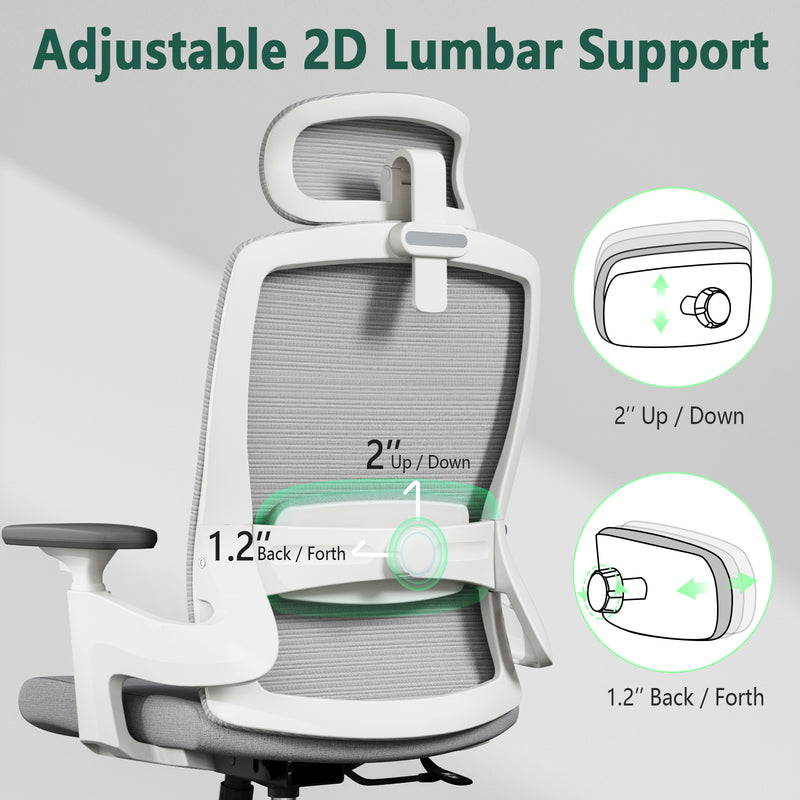 Ergonomic Chair Core